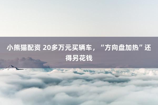 小熊猫配资 20多万元买辆车，“方向盘加热”还得另花钱