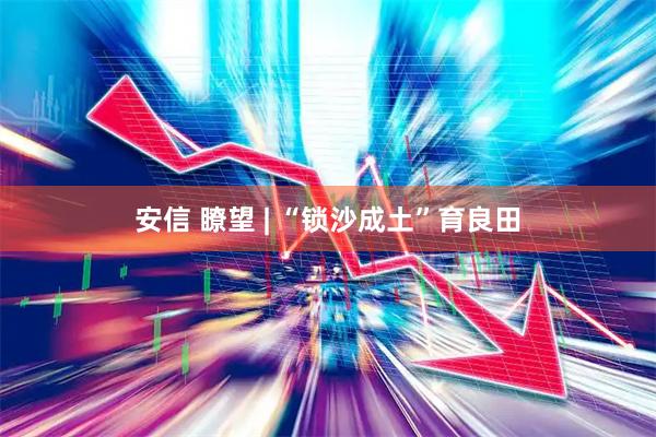 安信 瞭望 | “锁沙成土”育良田