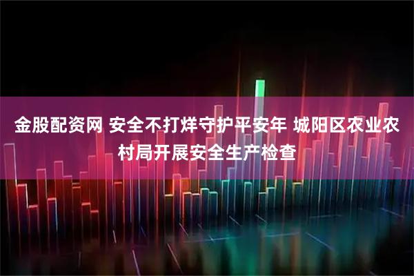 金股配资网 安全不打烊守护平安年 城阳区农业农村局开展安全生产检查
